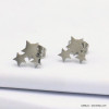 12 paires de puce d'oreilles étoile acier inoxydable 0319525 argenté