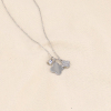 Collier acier inoxydable trèfles strass femme 0123616 argenté