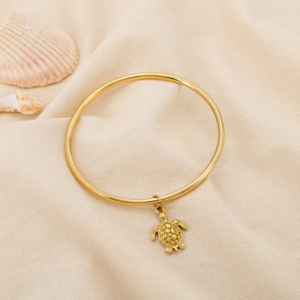 Bracelet jonc acier inoxydable breloque tortue 0225227 doré